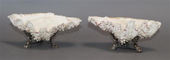 A pair of mounted shell salts